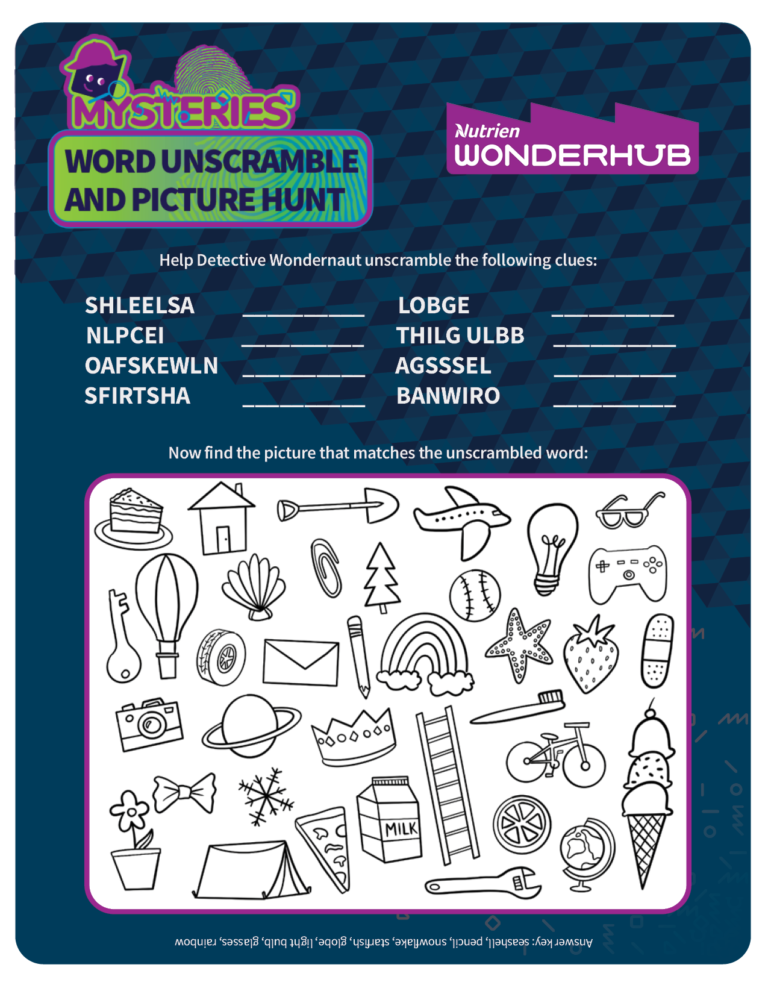 Activity 2 Mysterious Word Scramble And Picture Hunt Wonderhub